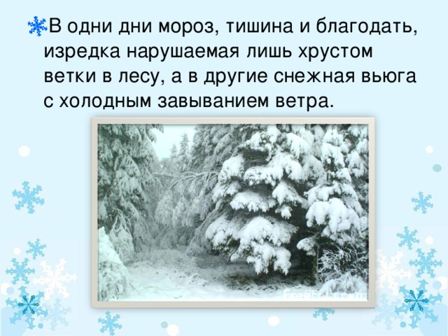 В одни дни мороз, тишина и благодать, изредка нарушаемая лишь хрустом ветки в лесу, а в другие снежная вьюга с холодным завыванием ветра.