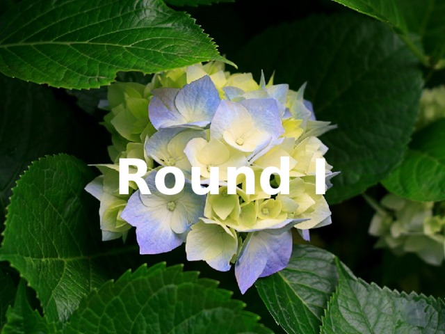 Round I