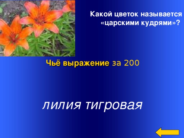 Какой цветок называется  «царскими кудрями»?  Чьё выражение  за 200 лилия тигровая Welcome to Power Jeopardy   © Don Link, Indian Creek School, 2004 You can easily customize this template to create your own Jeopardy game. Simply follow the step-by-step instructions that appear on Slides 1-3. 2