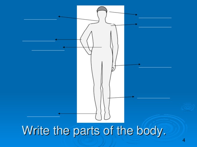 Write the parts of the body.