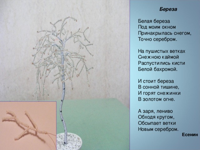 Текст тонкая береза. Белая берёза под моим окном стих. И стоит береза в сонной тишине рисунок. Обсыпает ветки новым серебром. Обсыпает ветки новым серебром рисунок.