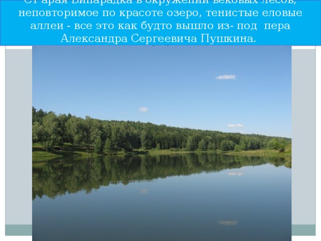 Ст  арая Бинарадка в окружении вековых лесов, неповторимое по красоте озеро, тенистые еловые аллеи - все это как будто вышло из- под пера Александра Сергеевича Пушкина.