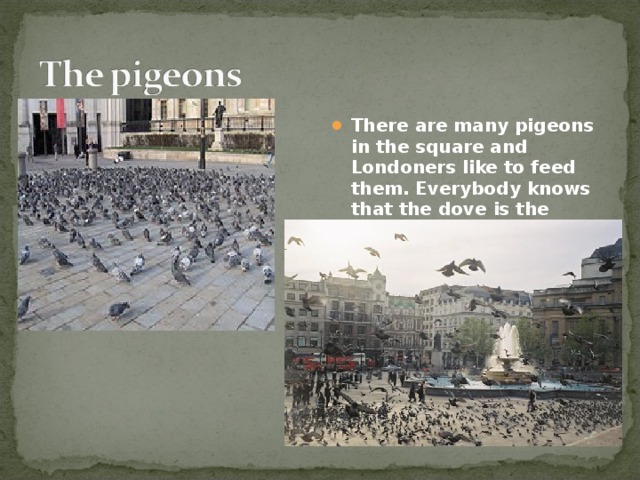 There are many pigeons in the square and Londoners like to feed them.  Everybody knows that the dove is the symbol of peace all over the world.