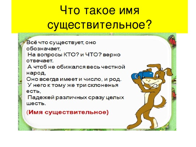 Что такое имя существительное?