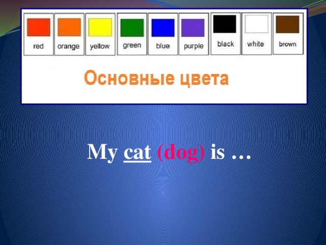 My cat  (dog) is …