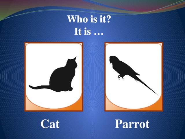 Who is it? Who is it? Who is it? It is …  It is …  It is …  Cat Parrot