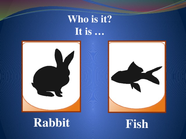 Who is it? It is …  Rabbit Fish
