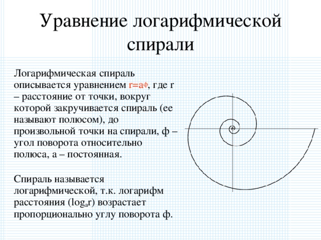 Уравнение логарифмической спирали  Логарифмическая спираль описывается уравнением r=a ф , где r – расстояние от точки, вокруг которой закручивается спираль (ее называют полюсом), до произвольной точки на спирали, ф – угол поворота относительно полюса, а – постоянная.  Спираль называется логарифмической, т.к. логарифм расстояния (log a r) возрастает пропорционально углу поворота ф.