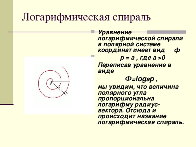 Логарифмическая спираль проект