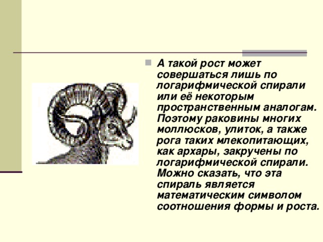 А такой рост может совершаться лишь по логарифмической спирали или её некоторым пространственным аналогам. Поэтому раковины многих моллюсков, улиток, а также рога таких млекопитающих, как архары, закручены по логарифмической спирали. Можно сказать, что эта спираль является математическим символом соотношения формы и роста.