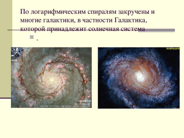 По логарифмическим спиралям закручены и многие галактики, в частности Галактика, которой принадлежит солнечная система