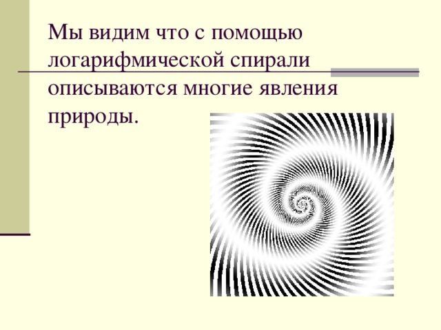 Мы видим что с помощью логарифмической спирали описываются многие явления природы.
