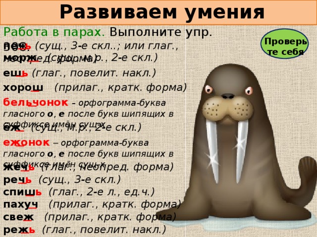 Развиваем умения Работа в парах. Выполните упр. 308. Проверьте себя печ ь  (сущ., 3-е скл..; или глаг., неопред.  форма) морж  (сущ., м.р. , 2-е скл.) еш ь  (глаг., повелит.  накл.) хорош (прилаг., кратк.  форма) бельчонок  –  орфограмма-буква гласного о ,  е после букв шипящих в суффиксе имён сущ-х ёж  (сущ., м.р. , 2-е скл.) ежонок  – орфограмма-буква гласного о ,  е после букв шипящих в суффиксе им ё н сущ-х жеч ь   (глаг., неопред.  форма) реч ь   (сущ., 3-е скл.) спиш ь   (глаг., 2-е л., ед.ч.) пахуч  (прилаг., кратк.  форма) свеж  (прилаг., кратк.  форма) реж ь   (глаг., повелит.  накл.)