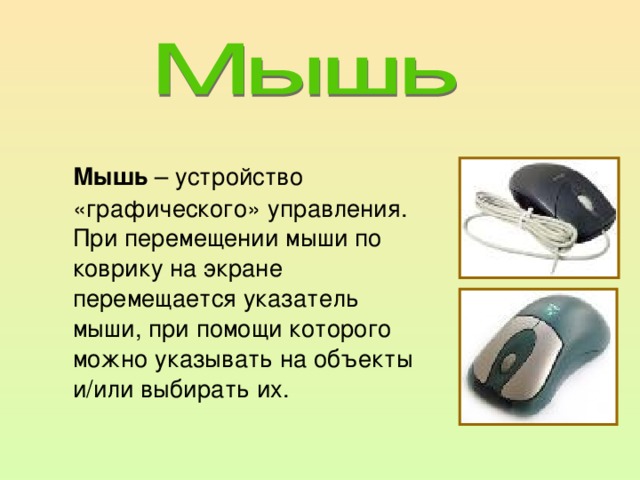 Мышь – устройство «графического» управления.  При перемещении мыши по коврику на экране перемещается указатель мыши, при помощи которого можно указывать на объекты и/или выбирать их.