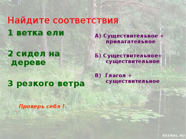 Найдите соответствия 1 ветка ели  2 сидел на дереве  3 резкого ветра    Проверь себя ! А) Существительное + прилагательное  Б) Существительное+ существительное  В) Глагол + существительное