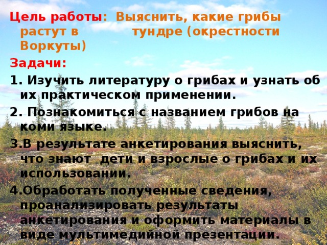 Цель работы :  Выяснить, какие грибы растут в    тундре (окрестности Воркуты) Задачи: 1. Изучить литературу о грибах и узнать об их практическом применении. 2. Познакомиться с названием грибов на коми языке. 3.В результате анкетирования выяснить, что знают дети и взрослые о грибах и их использовании. 4.Обработать полученные сведения, проанализировать результаты анкетирования и оформить материалы в виде мультимедийной презентации.