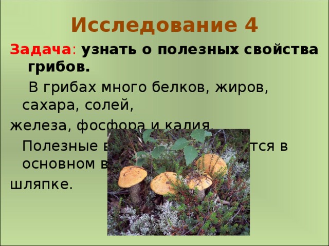 Исследование 4 Задача : узнать о полезных свойства грибов.  В грибах много белков, жиров, сахара, солей, железа, фосфора и калия.  Полезные вещества содержатся в основном в шляпке.