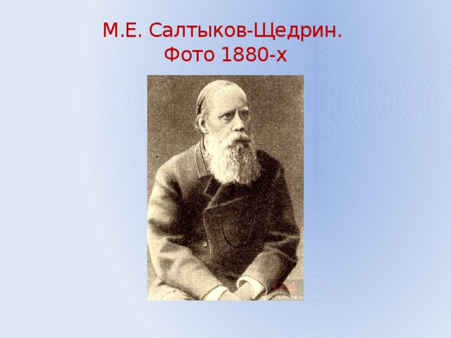 М.Е. Салтыков-Щедрин.  Фото 1880-х