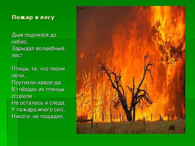 Пожар в лесу Дым поднялся до небес,  Зарыдал волшебный лес!   Птицы, те, что песни пели,  Поутихли навсегда.  В гнёздах их птенцы сгорели  Не осталось и следа.  У пожара много сил,  Никого  не пощадил.