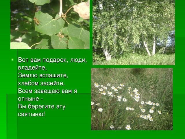 Вот вам подарок, люди, владейте,  Землю вспашите, хлебом засейте.  Всем завещаю вам я отныне -  Вы берегите эту святыню!