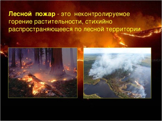 Лесной пожар - это неконтролируемое горение растительности, стихийно распространяющееся по лесной территории.