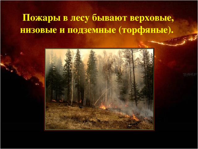 Пожары в лесу бывают верховые, низовые и подземные (торфяные).