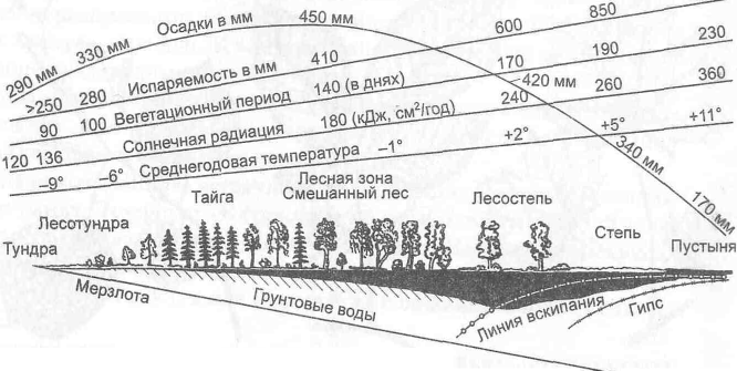 Вегетационный период осадки