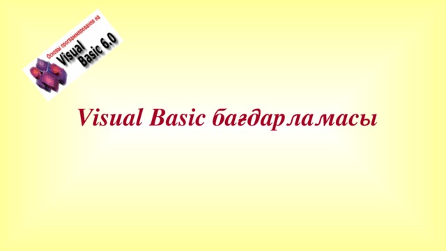 Visual Basic бағдарламасы