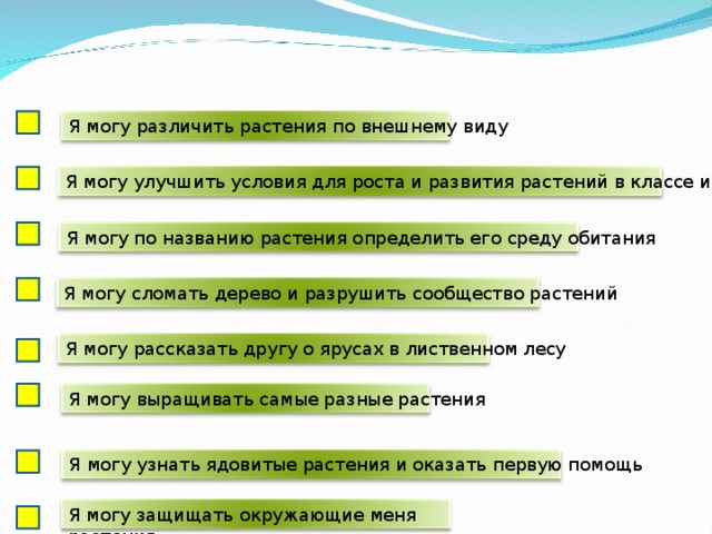 Я могу различить растения по внешнему виду Я могу улучшить условия для роста и развития растений в классе и дома Я могу по названию растения определить его среду обитания Я могу сломать дерево и разрушить сообщество растений Я могу рассказать другу о ярусах в лиственном лесу Я могу выращивать самые разные растения Я могу узнать ядовитые растения и оказать первую помощь Я могу защищать окружающие меня растения