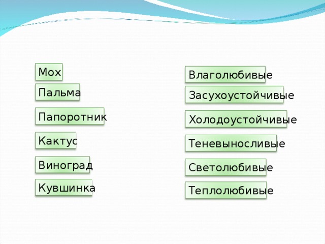 Мох Влаголюбивые Пальма Засухоустойчивые Папоротник Холодоустойчивые Кактус Теневыносливые Виноград Светолюбивые Кувшинка Теплолюбивые