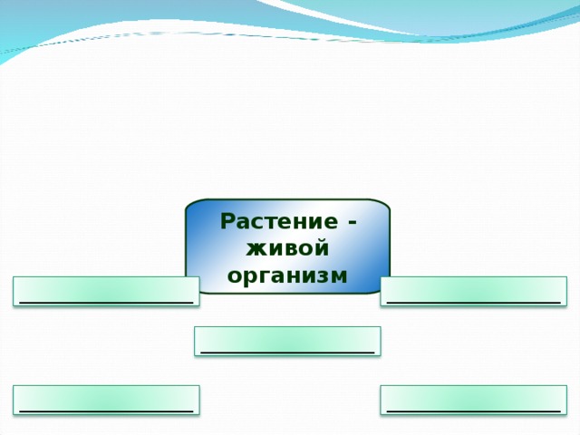 Растение - живой организм __________________ __________________ __________________ __________________ __________________