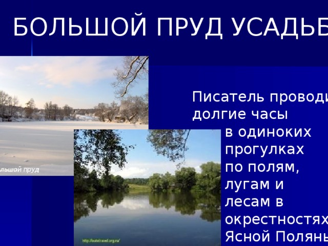 БОЛЬШОЙ ПРУД УСАДЬБЫ Писатель проводил долгие часы  в одиноких  прогулках  по полям,  лугам и  лесам в  окрестностях  Ясной Поляны.