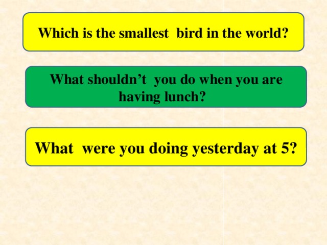 Which is the smallest bird in the world? What shouldn’t you do when you are having lunch? What were you doing yesterday at 5?