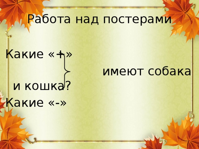 Работа над постерами Какие «+»  имеют собака и кошка? Какие «-»