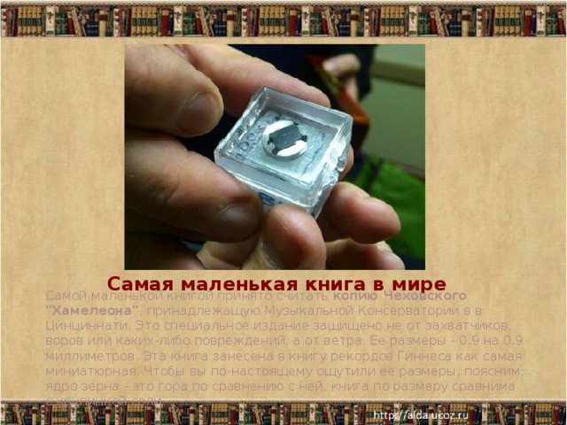 Самая маленькая книга в мире   Самой маленькой книгой принято считать  копию Чеховского 