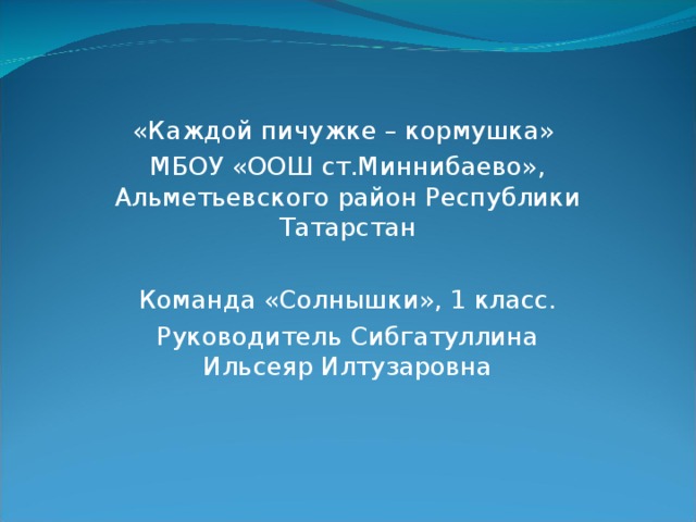 «Каждой пичужке – кормушка»  МБОУ «ООШ ст.Миннибаево», Альметьевского район Республики Татарстан Команда «Солнышки», 1 класс. Руководитель Сибгатуллина Ильсеяр Илтузаровна