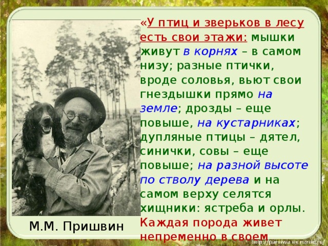 « У птиц и зверьков в лесу есть свои этажи:  мышки живут в корнях – в самом низу; разные птички, вроде соловья, вьют свои гнездышки прямо на земле ; дрозды – еще повыше, на кустарниках ; дупляные птицы – дятел, синички, совы – еще повыше; на разной высоте по стволу дерева и на самом верху селятся хищники: ястреба и орлы. Каждая порода живет непременно в своем этаже». М.М. Пришвин