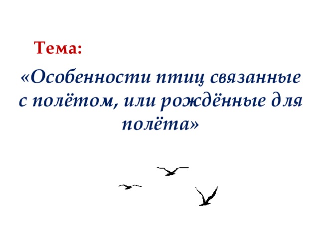 Тема: «Особенности птиц связанные с полётом, или рождённые для полёта»