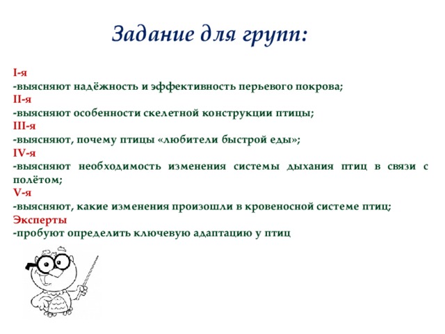 Задание для групп: I-я -выясняют надёжность и эффективность перьевого покрова; II-я -выясняют особенности скелетной конструкции птицы; III-я -выясняют, почему птицы «любители быстрой еды»; IV-я -выясняют необходимость изменения системы дыхания птиц в связи с полётом; V-я -выясняют, какие изменения произошли в кровеносной системе птиц; Эксперты  -пробуют определить ключевую адаптацию у птиц