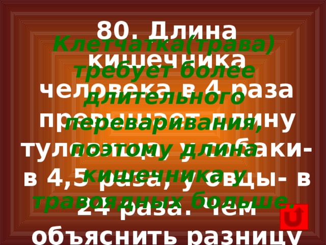 80. Длина кишечника человека в 4 раза превышает длину туловища, у собаки- в 4,5 раза, у овцы- в 24 раза. Чем объяснить разницу длины кишечника у разных млекопитающих? Клетчатка(трава) требует более длительного переваривания, поэтому длина кишечника у травоядных больше.