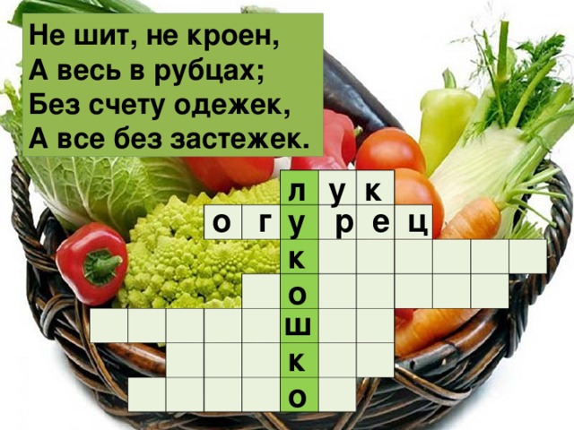 Не шит, не кроен,  А весь в рубцах;  Без счету одежек,  А все без застежек. у к л                                                                                                                                    о г р е ц у к о ш к о