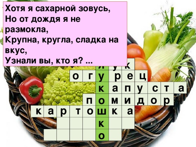 Хотя я сахарной зовусь,  Но от дождя я не размокла,  Крупна, кругла, сладка на вкус,  Узнали вы, кто я? ... у к л                                                                                                                                    о г р е ц у  а п у с т а к  п м и д о р о  к а р т о к а ш к о