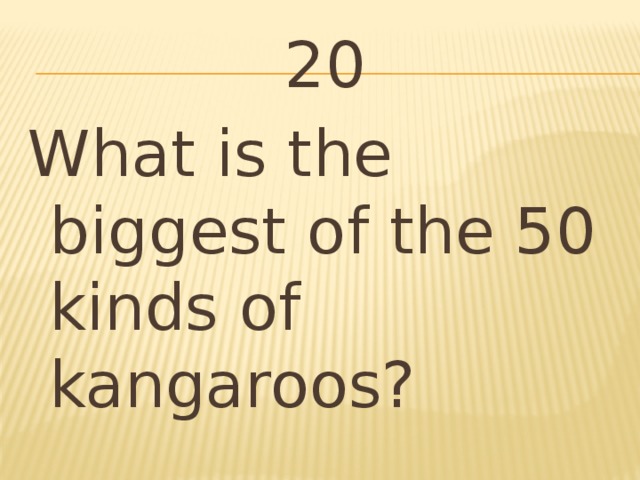 20 What is the biggest of the 50 kinds of kangaroos?