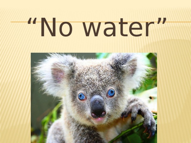 “ No water”