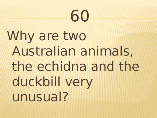 60 Why are two Australian animals, the echidna and the duckbill very unusual?