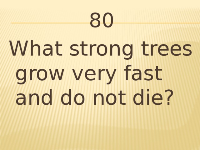 80 What strong trees grow very fast and do not die?