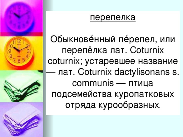 перепелка Обыкнове́нный пе́репел, или перепёлка лат. Coturnix coturnix; устаревшее название — лат. Coturnix dactylisonans s. communis — птица подсемейства куропатковых отряда курообразных .