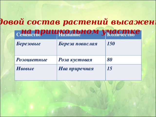 Видовой состав растений высаженных  на пришкольном участке Семейство Название Березовые Количество Береза повислая Розоцветные Роза кустовая 150 Ивовые 80 Ива приречная 15