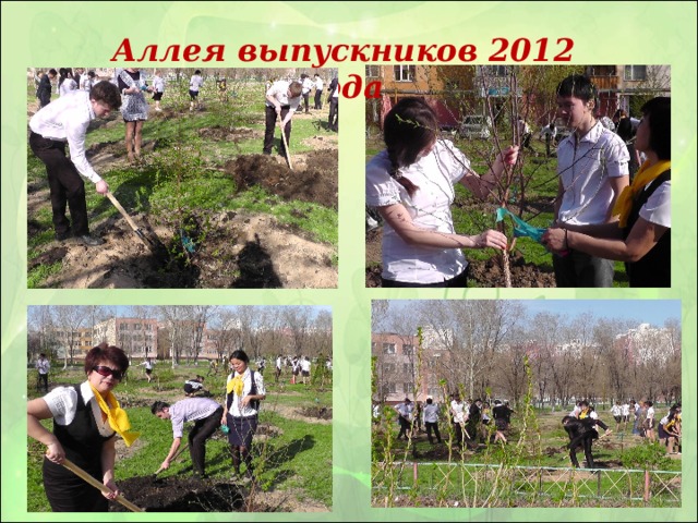 Аллея выпускников 2012 года