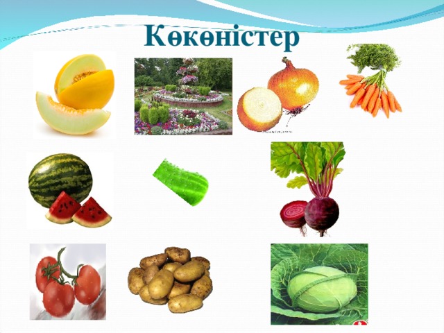 Көкөністер